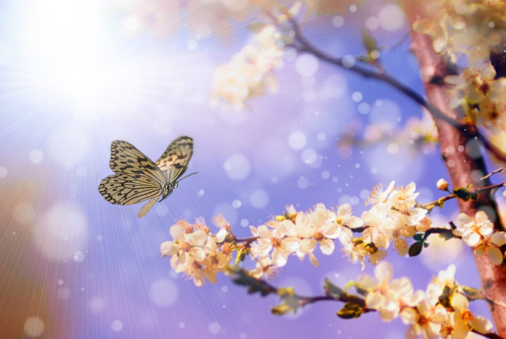 Explore high-quality healing crystals and handmade crystal jewellery at Crystal Souls. Shop ethically sourced stones, bracelets, necklaces & more.